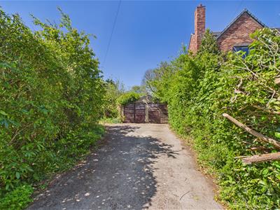 Picture 24